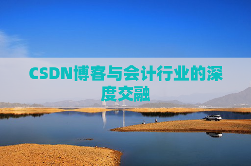 CSDN博客与会计行业的深度交融