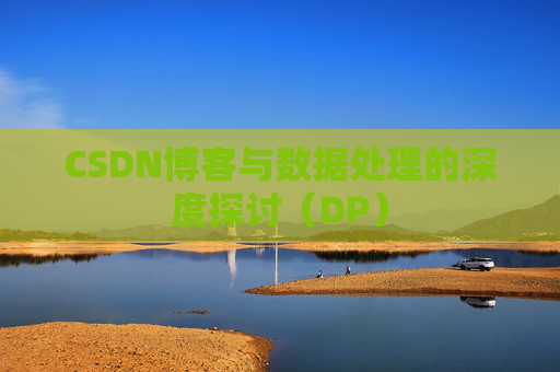 CSDN博客与数据处理的深度探讨（DP）